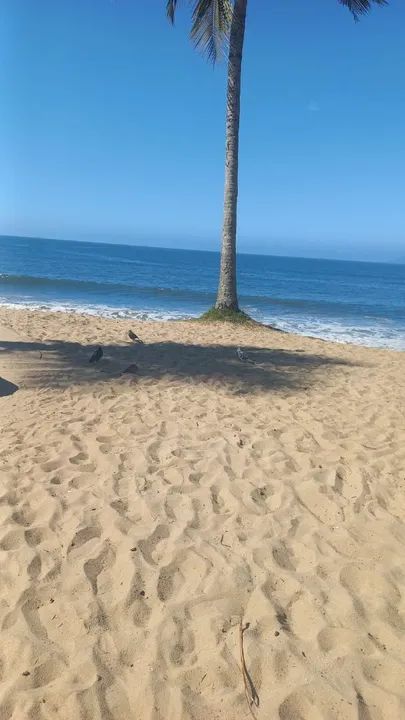 Caraguatatuba litoral Norte Disponível para férias janeiro e Carnaval  - Foto 4