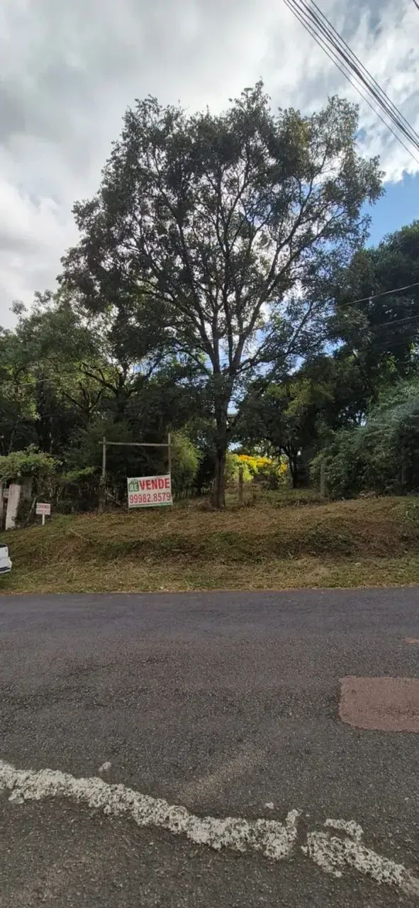 Excelente terreno no Abranches