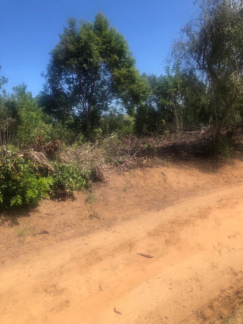 ? Terreno com 2 Tarefas à Venda em Oitis - Esplanada/BA | Próximo às Cachoeiras - Foto 4
