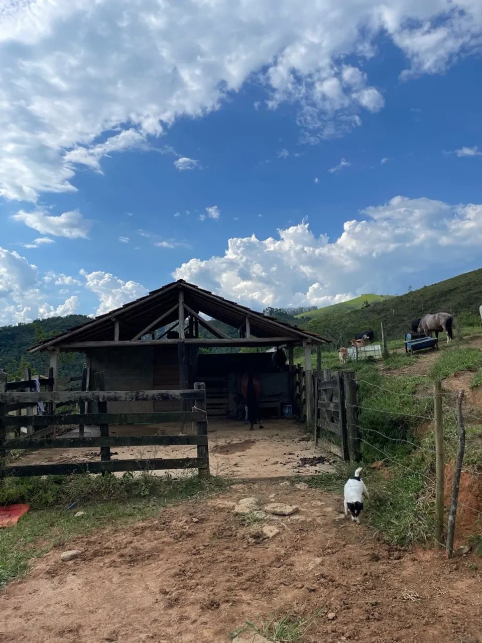 Sítio sjc vender ou alugar  - Foto 4