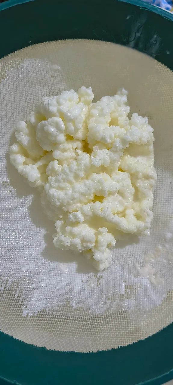 Kefir de Leite 