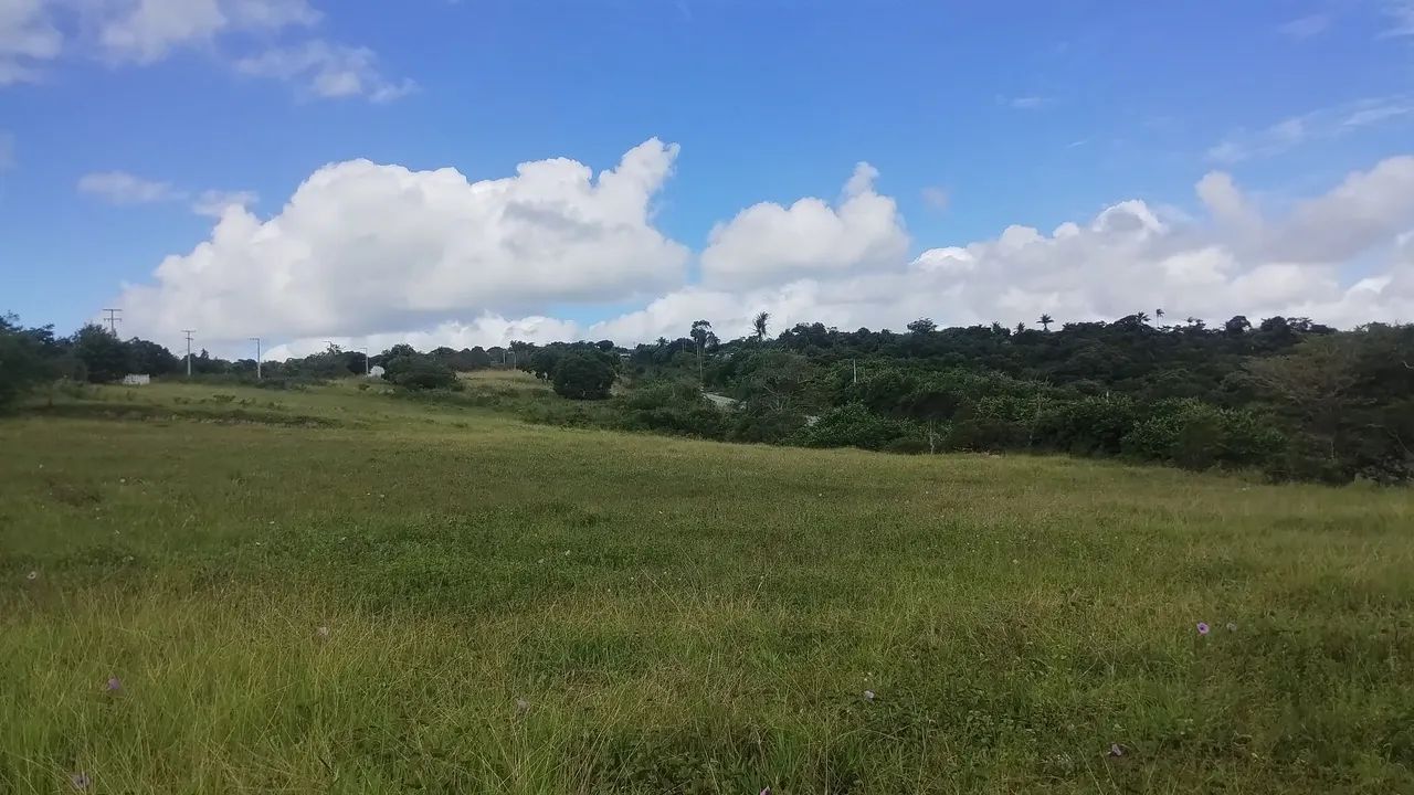 Sítio na beira estrada em Lagoa Seca  - Foto 2
