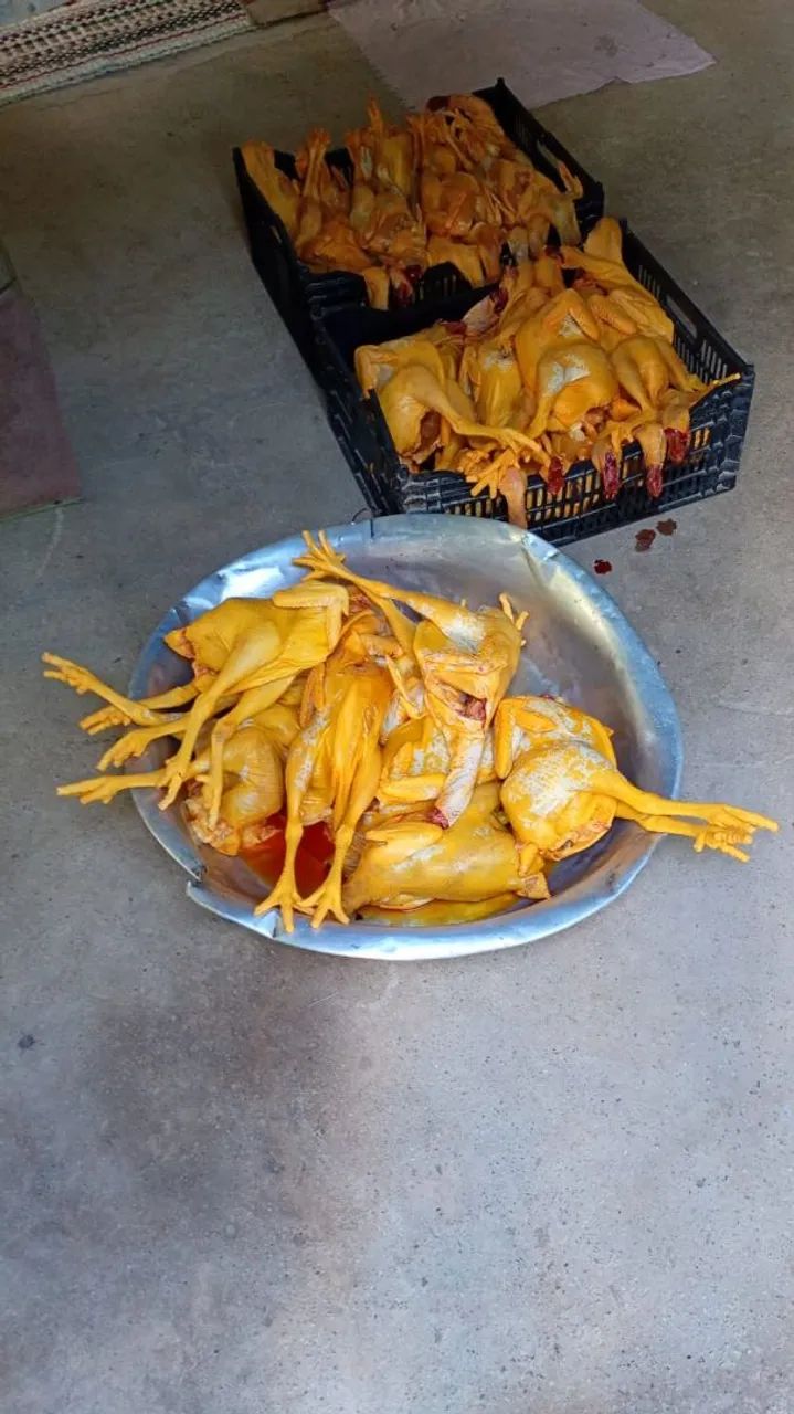 Galinha caipira 