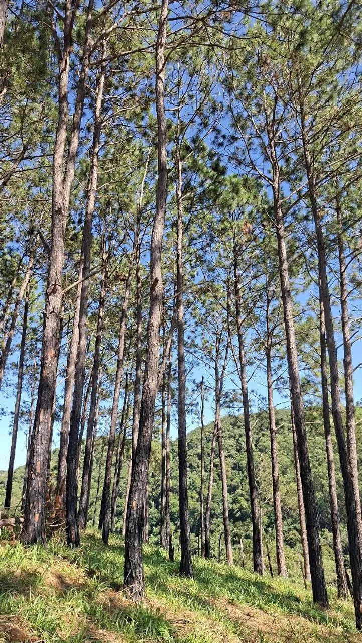 Terreno no Varadouro  - Foto 4