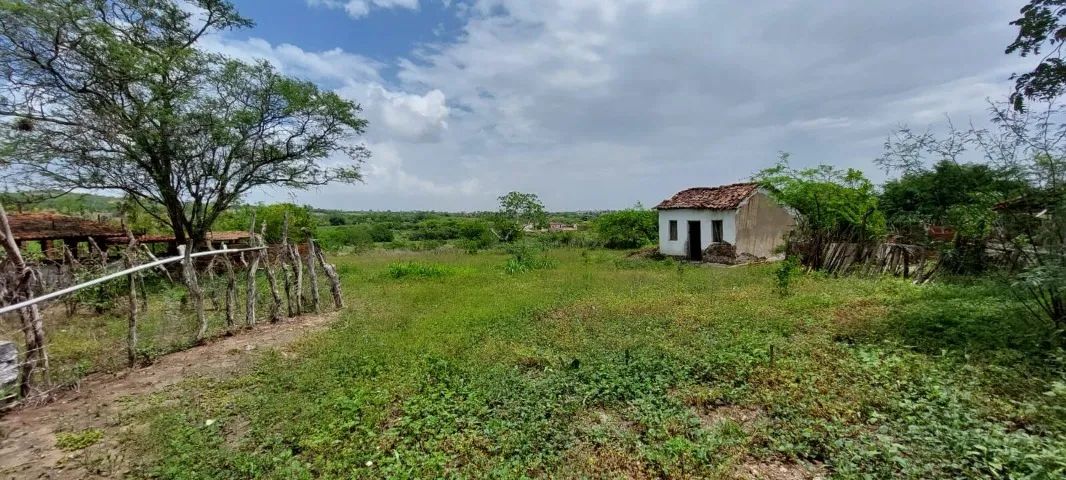 Chácara no Distrito de Maniçoba em Caruaru/PE à Venda (CH0032-DV) - Foto 5