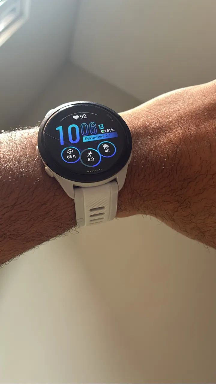 Garmin 165