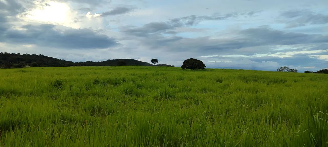 Chácara em Mairipotaba 
