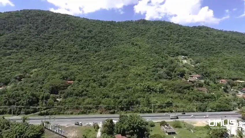 Terreno ideal para Investimento no Cacupé ! - Foto 3
