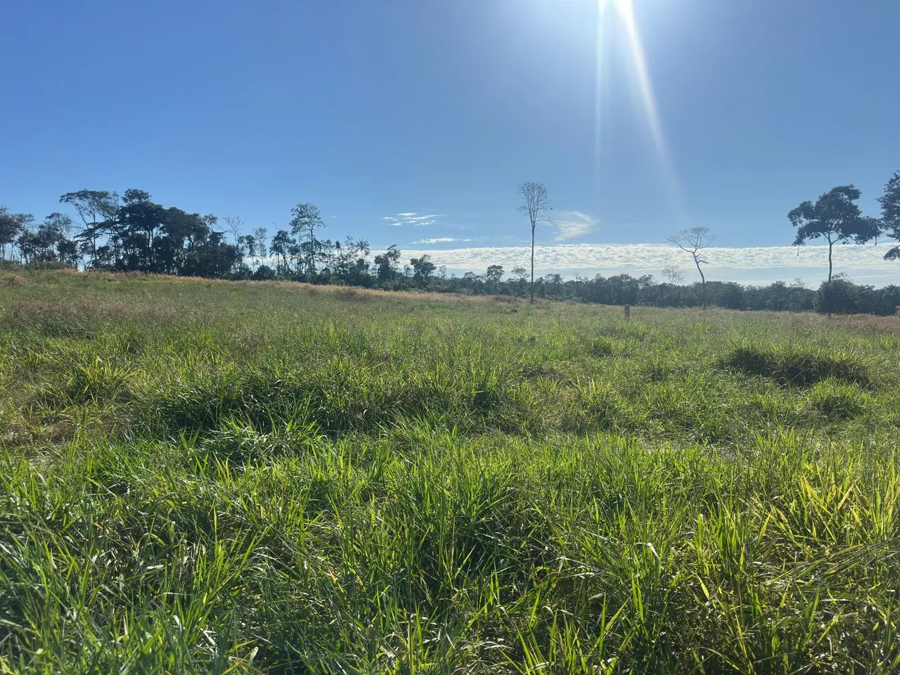 Terra em área rural Vilhena  - Foto 2
