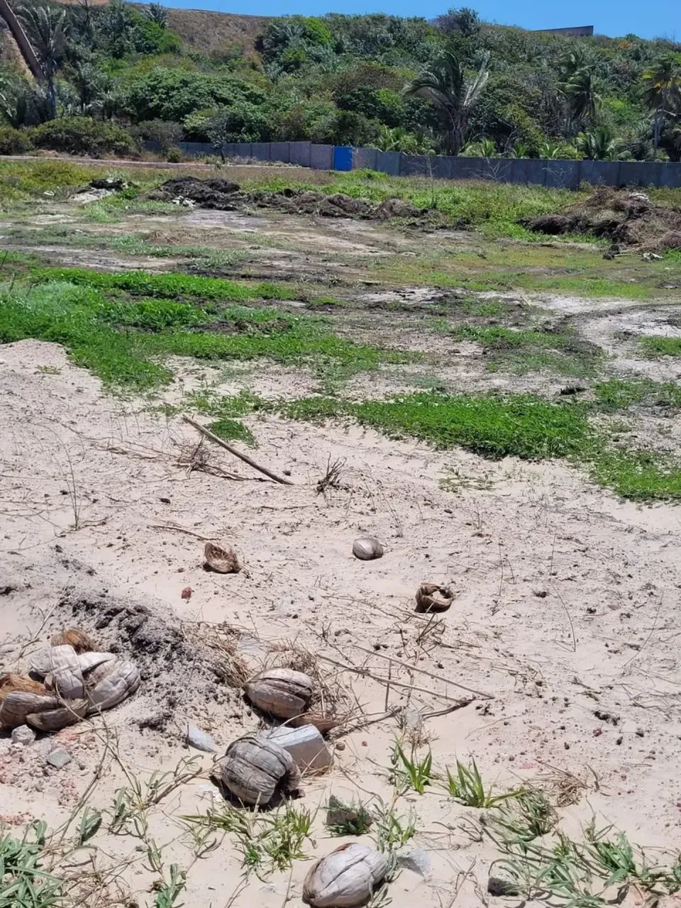 PRAIA DE PANAQUATIRA: Lote parcelado à venda  Grande Ilha de São Luís. - Foto 12