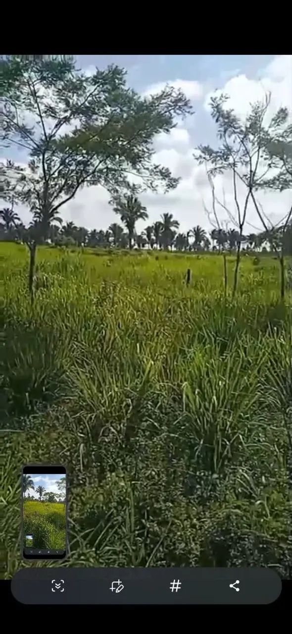 Terra venda  - Foto 5