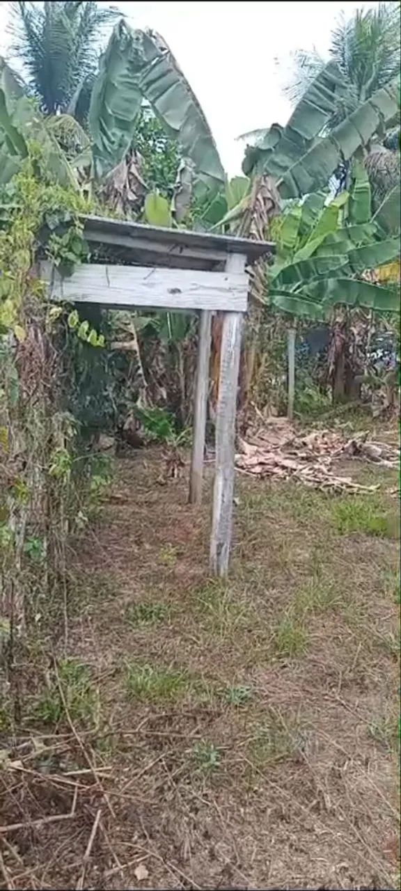 Vendo terreno [ BICUDA PEQUENA ] - Foto 3