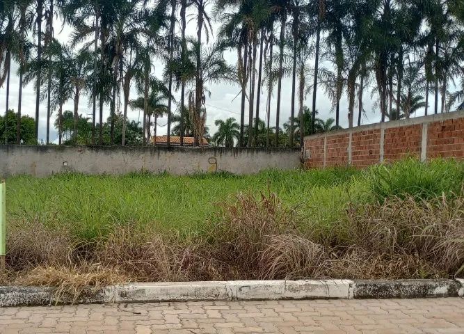 Foto - Brasília - Ponte Alta Norte (Gama)