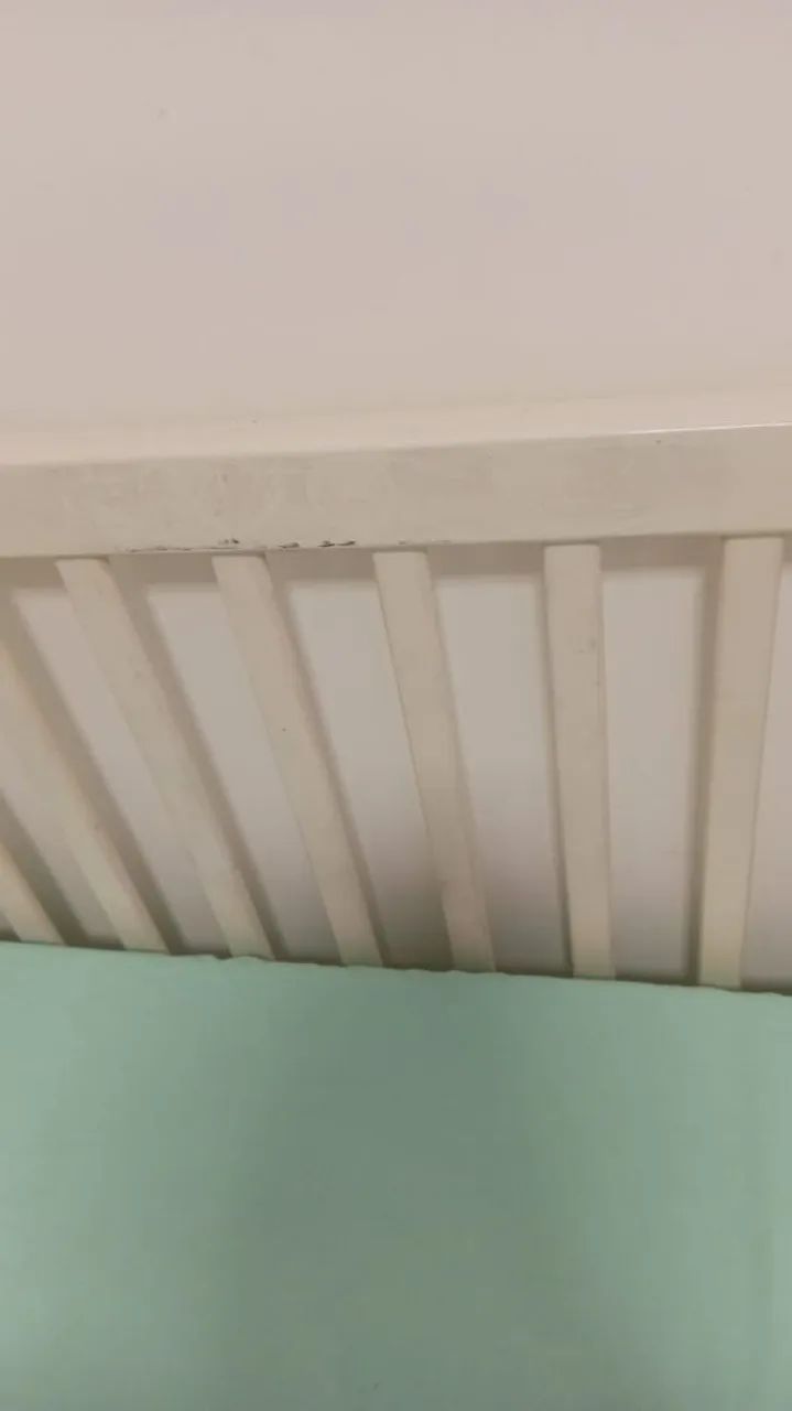 Berço - Foto 5