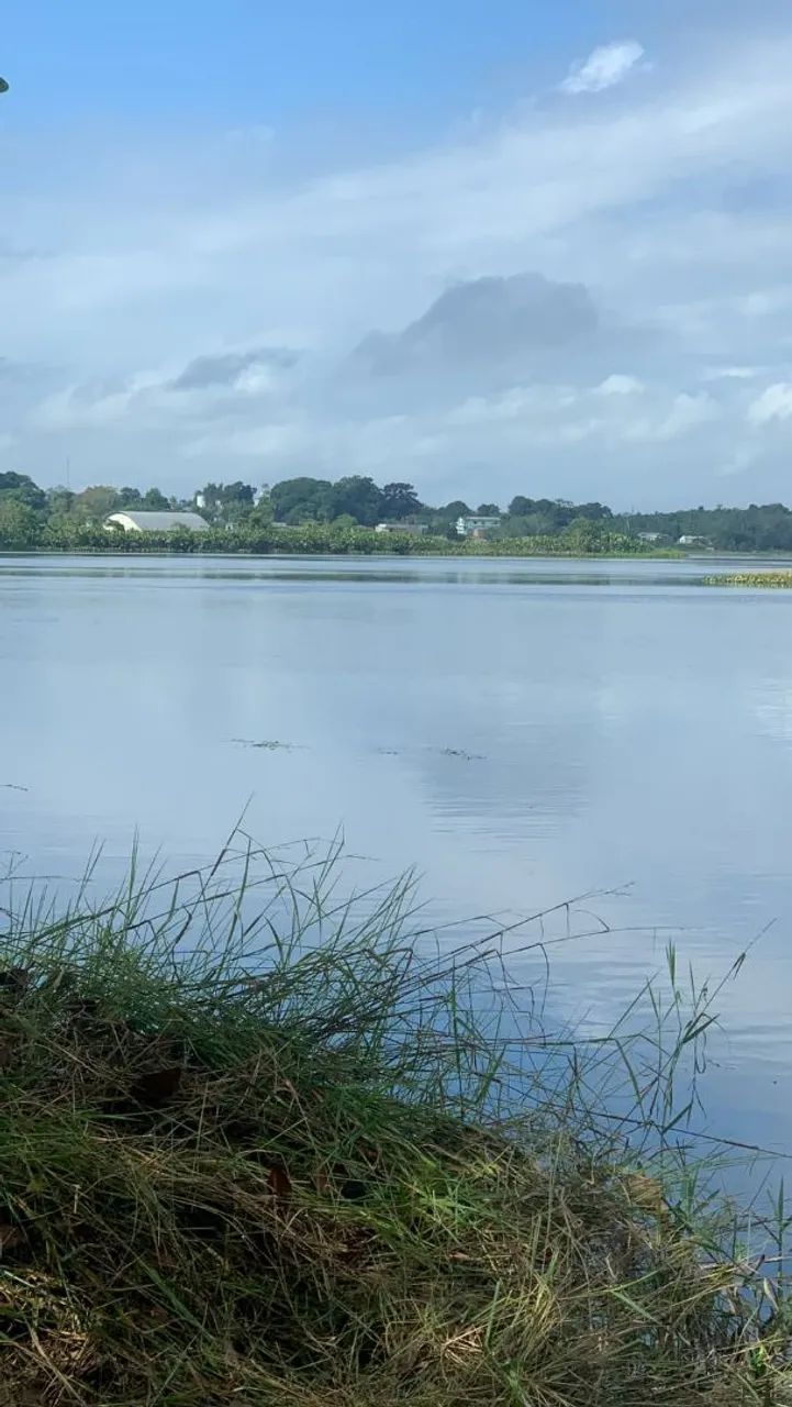 Terreno em porto grande  - Foto 2