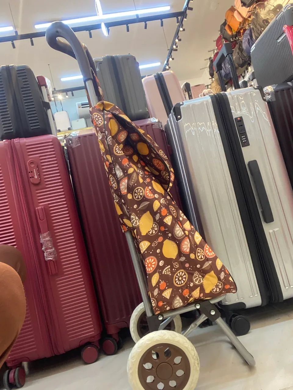 Carrinho de Feira e Compras Dobrável com Bolsa Estampada Impermeável - Foto 2