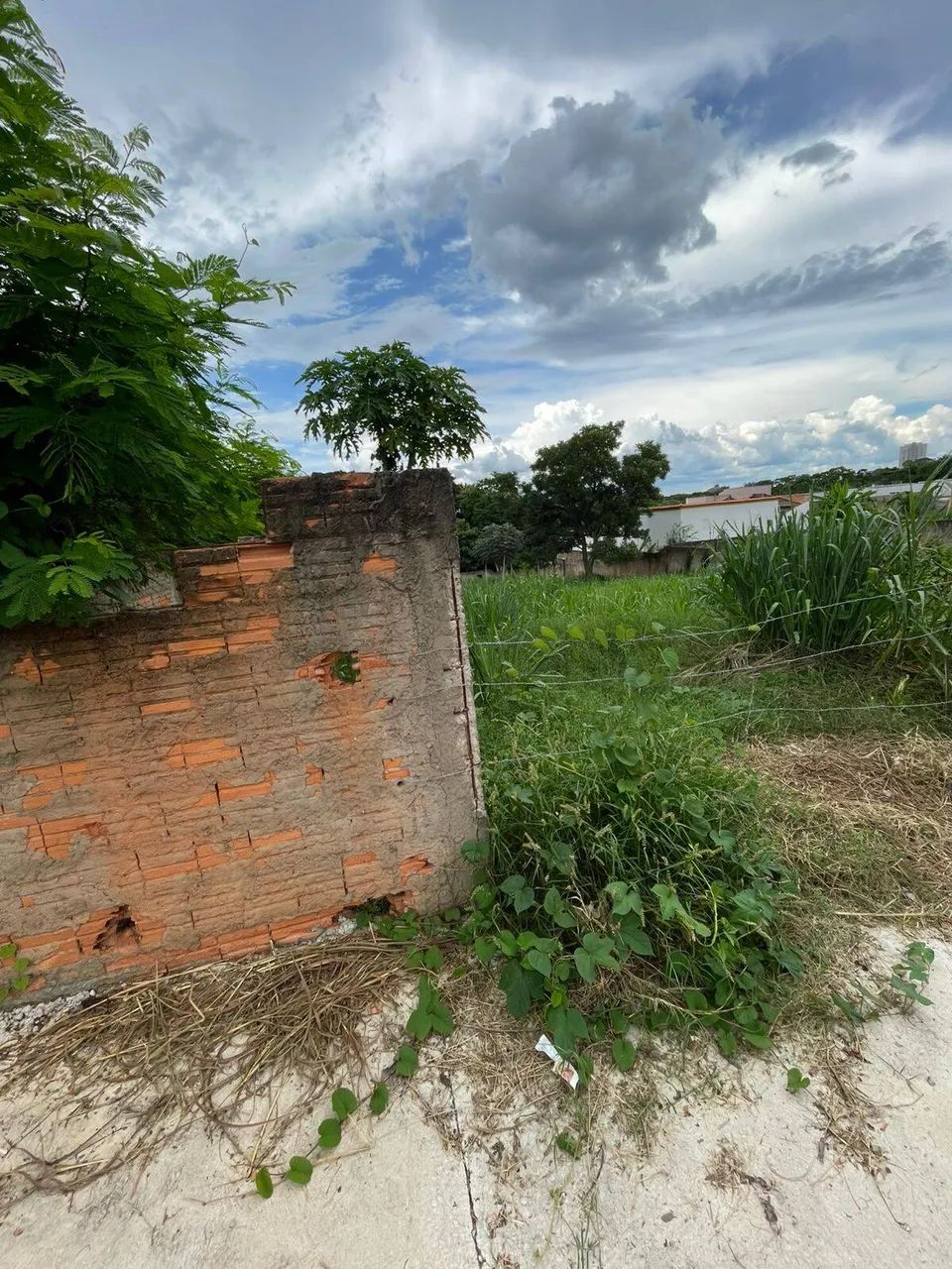 Terreno a venda no bairro Santa Marta! - Foto 5