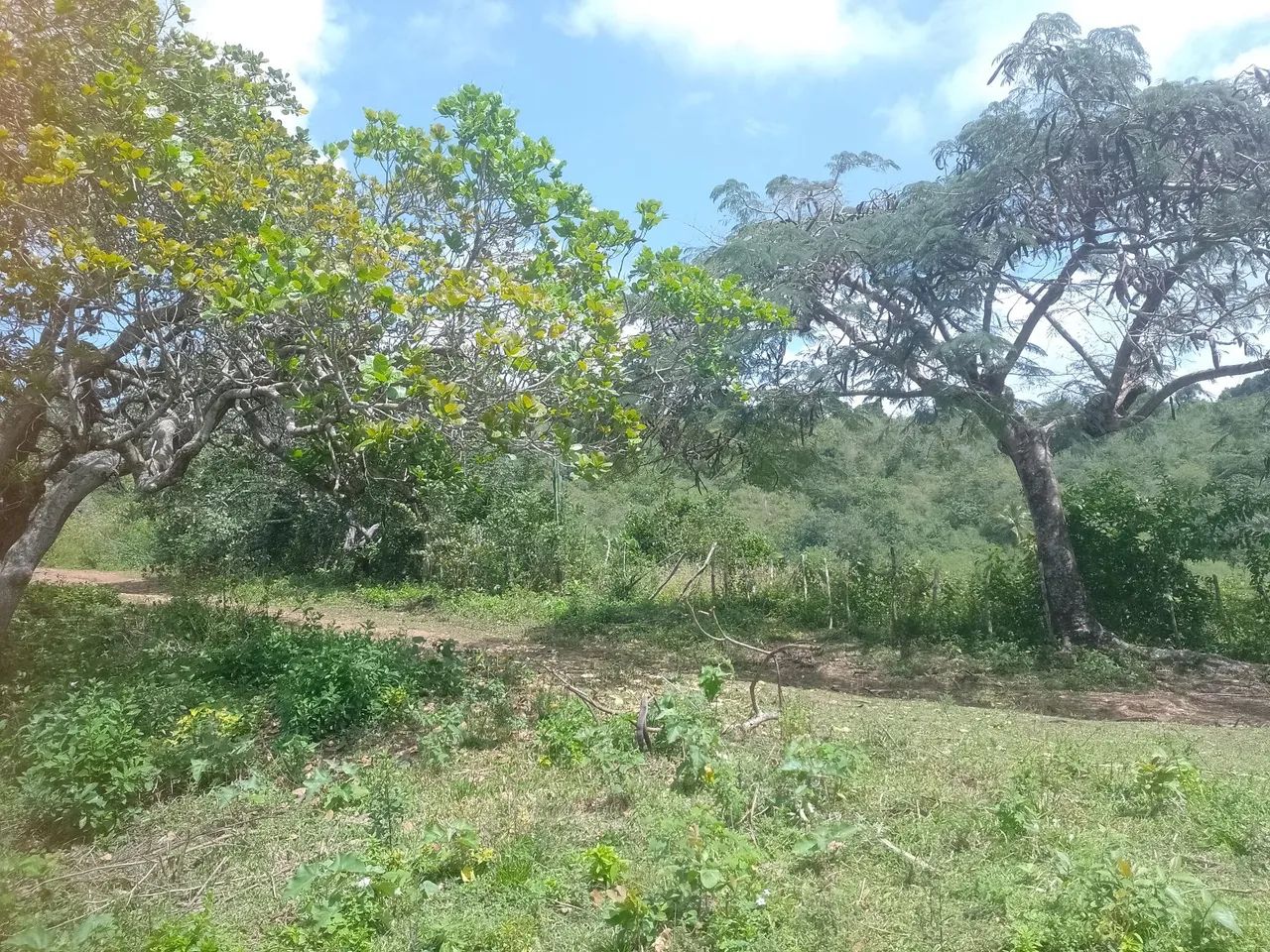 Fazenda Alagoa Nova. - Foto 4
