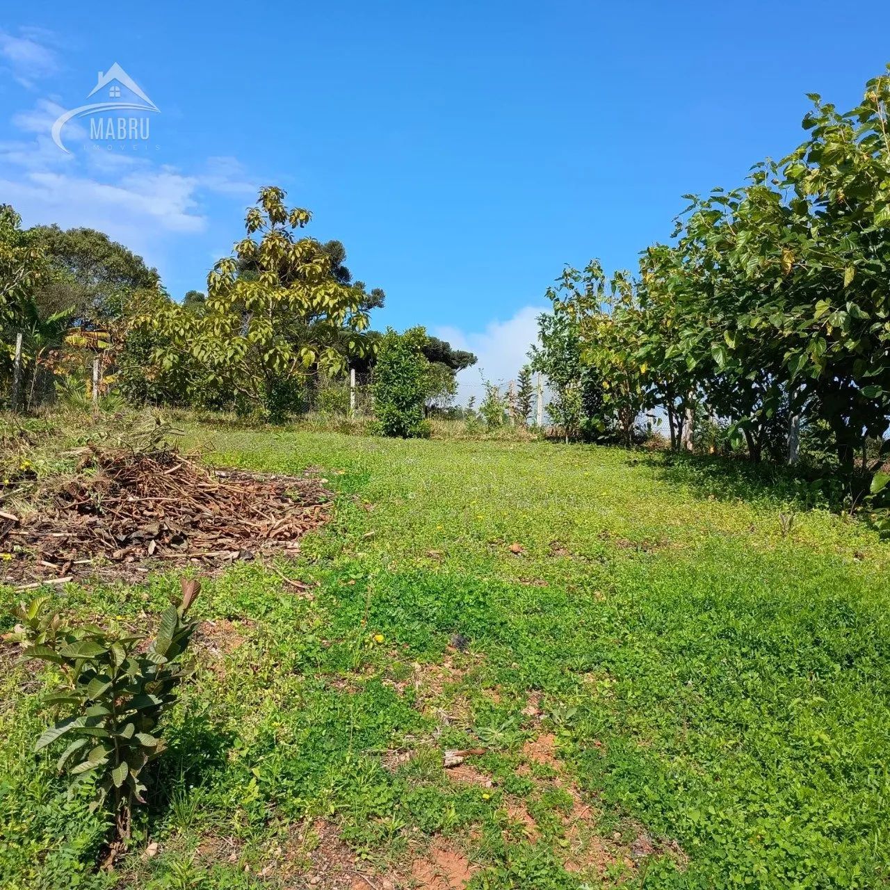 Terreno à venda com 0 dormitórios em Pessegueiros, Balsa nova cod:90