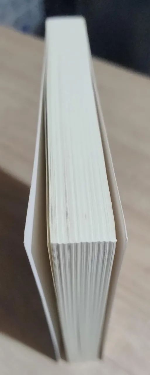 A Ascensão do Romance. Ian Watt. Livro NOVO!!! - Foto 5