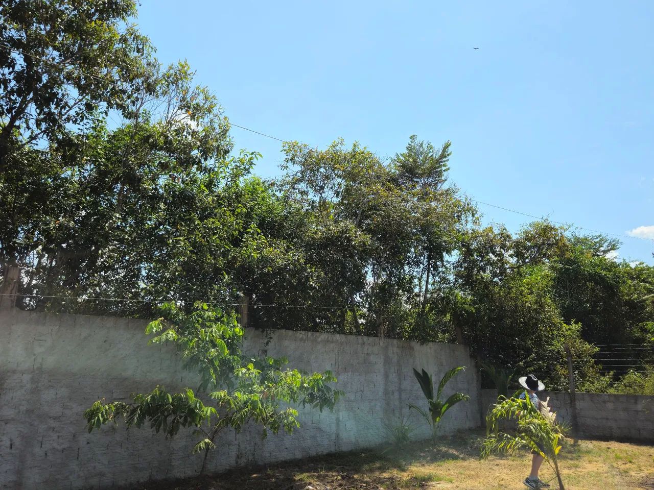Lote Chácaras Janauary 3 - Foto 2