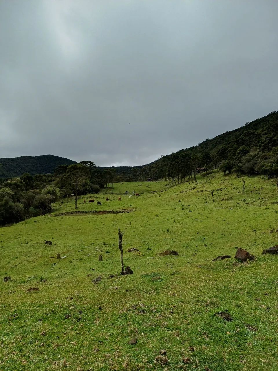 Vende-se Pousada com linda vista