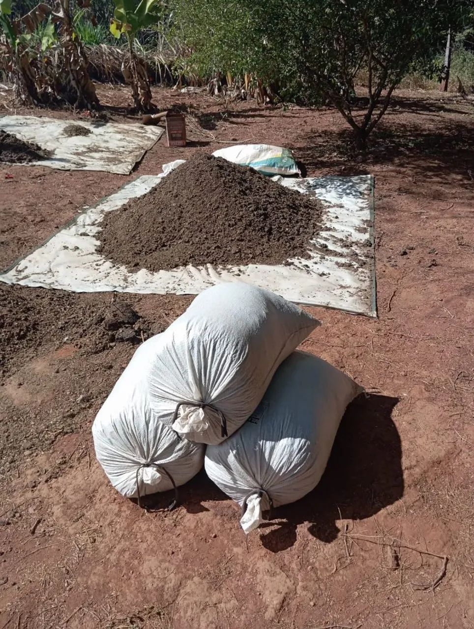 Ainda temos esterco de gado esterco de galinha Terra preta - Foto 5