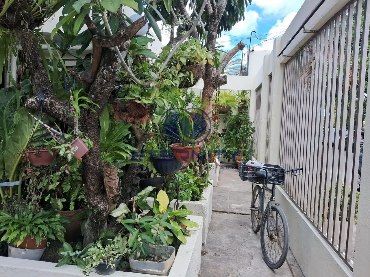 Casa em Areias, Recife: 4 Quartos e 360m² à Venda - Foto 5