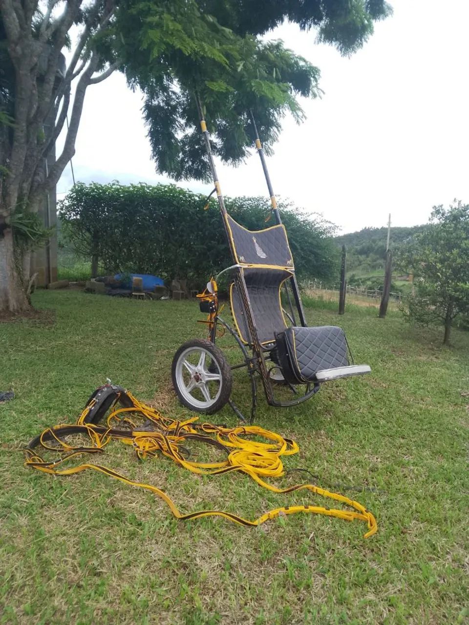 Vendo charrete com a reio completa o areio tá novo a charrete também nova  - Foto 2