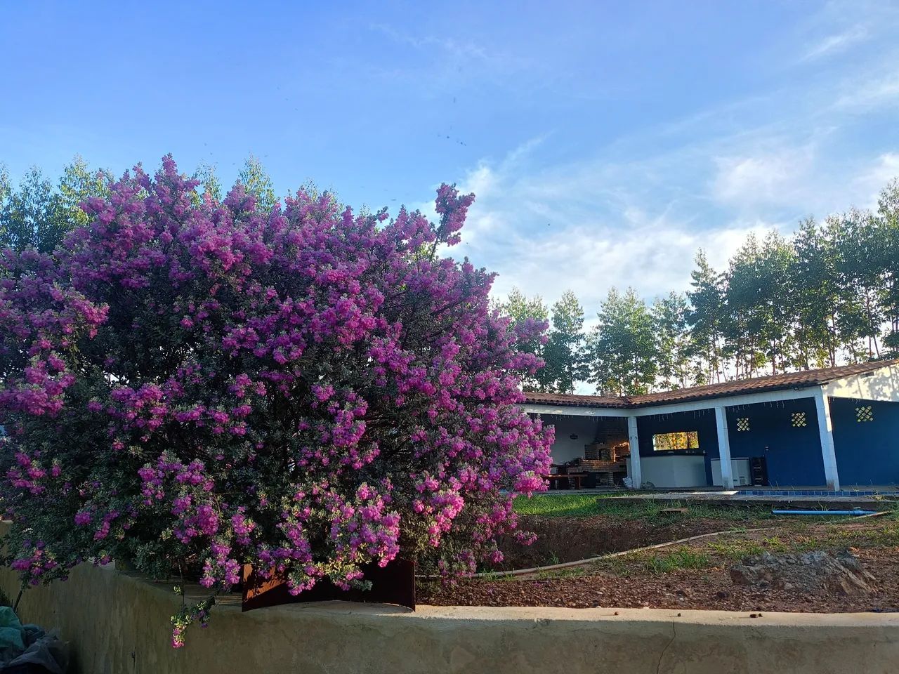 Sítio Bela Vista  - Foto 5