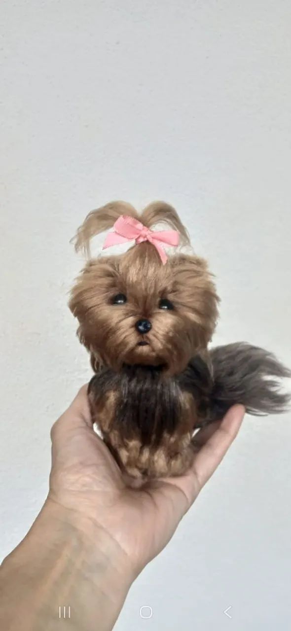 Mini dog - Foto 2