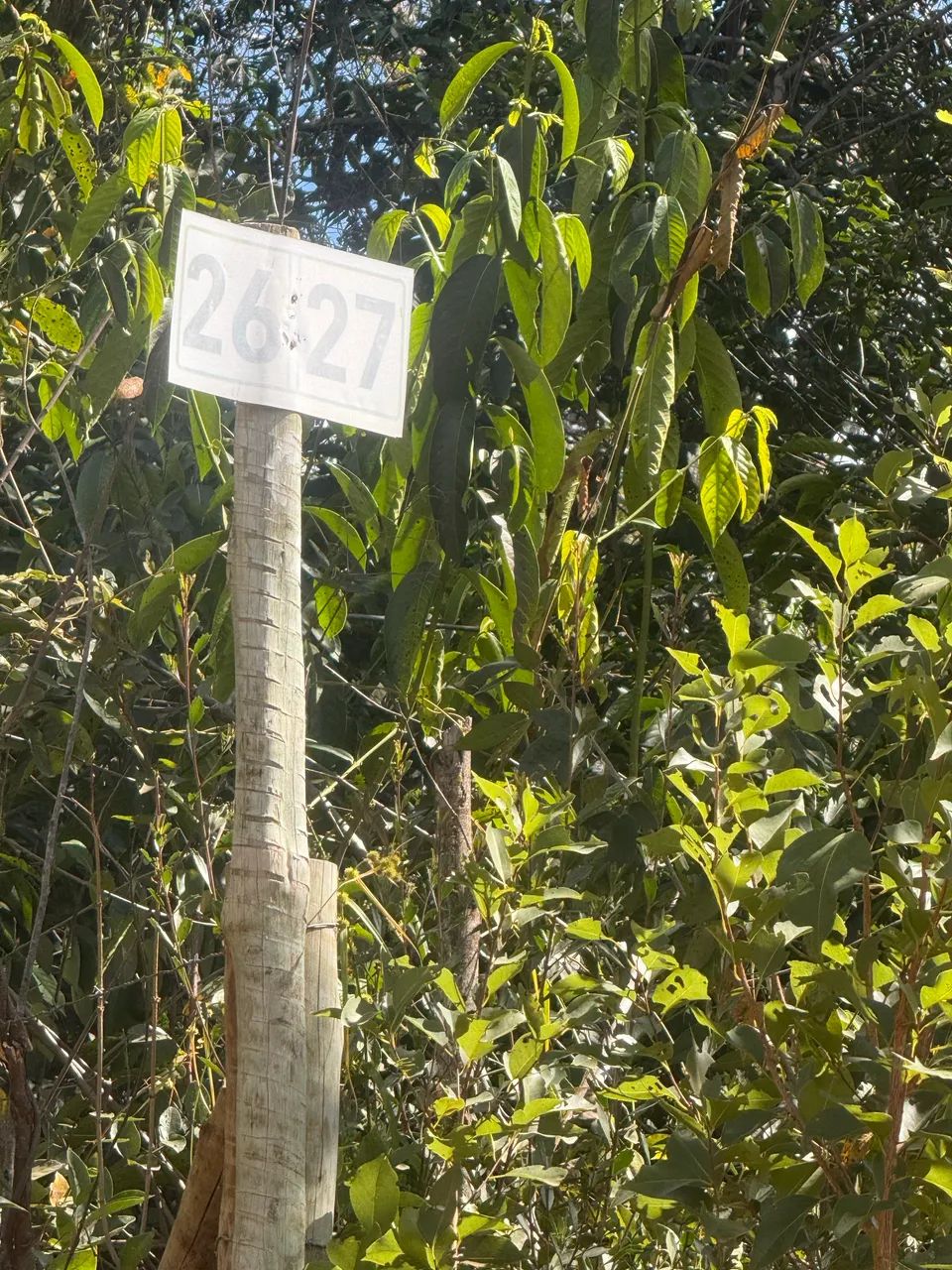 Oportunidade na Serra do Cipó!  - Foto 2