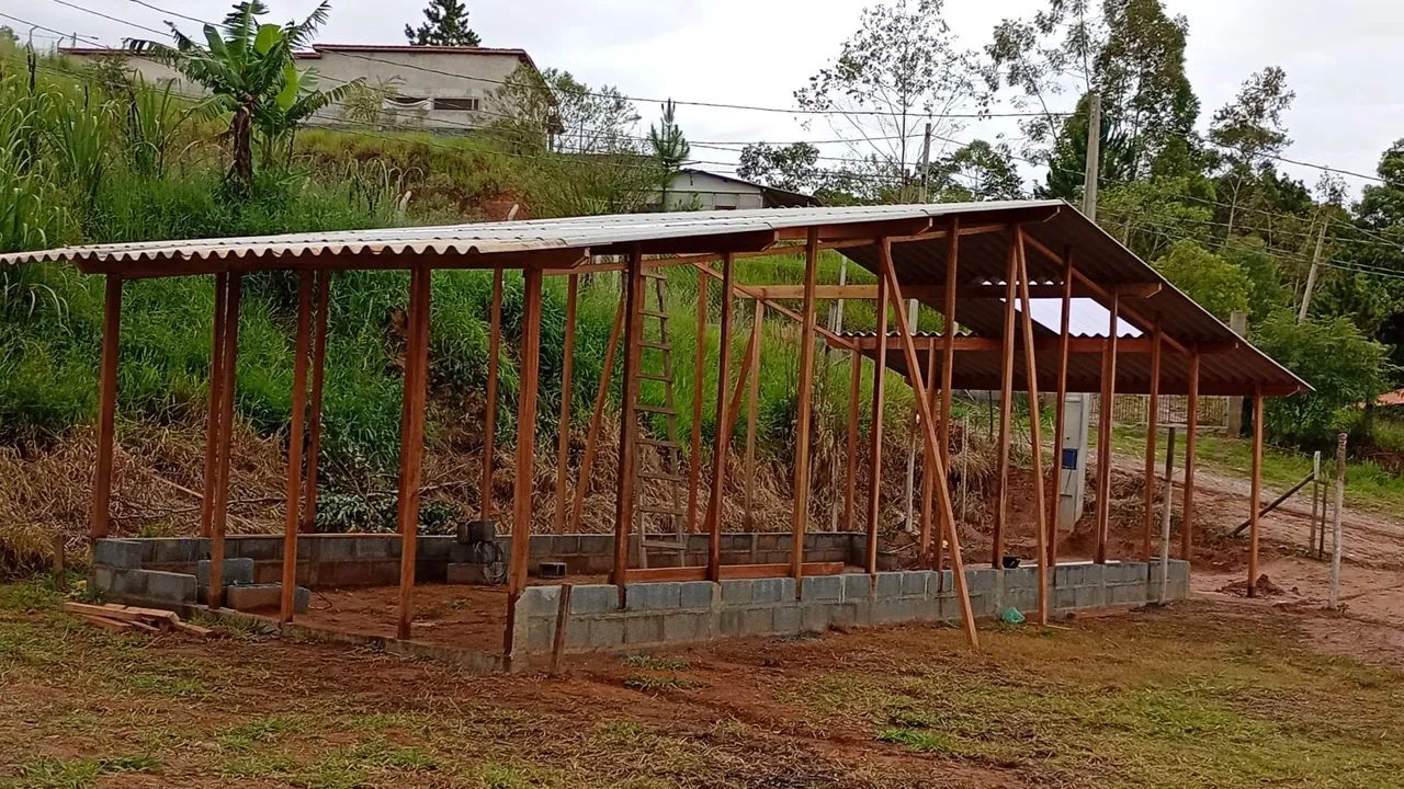 Foto - Ibiúna - Veravinha