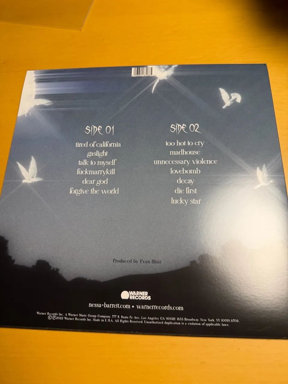 VINIL YOUNG FOREVER ROSA - NESSA BARRETT - Foto 2