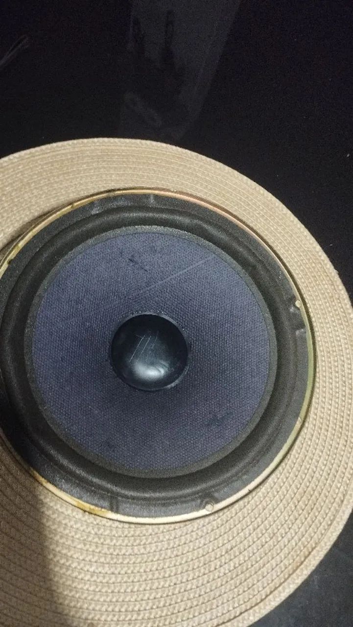 Alto-Falante Woofer Azul escuro da Gradiente Modelo Raro 8 Polegada 80W RMS R$:80 Reais - Foto 3