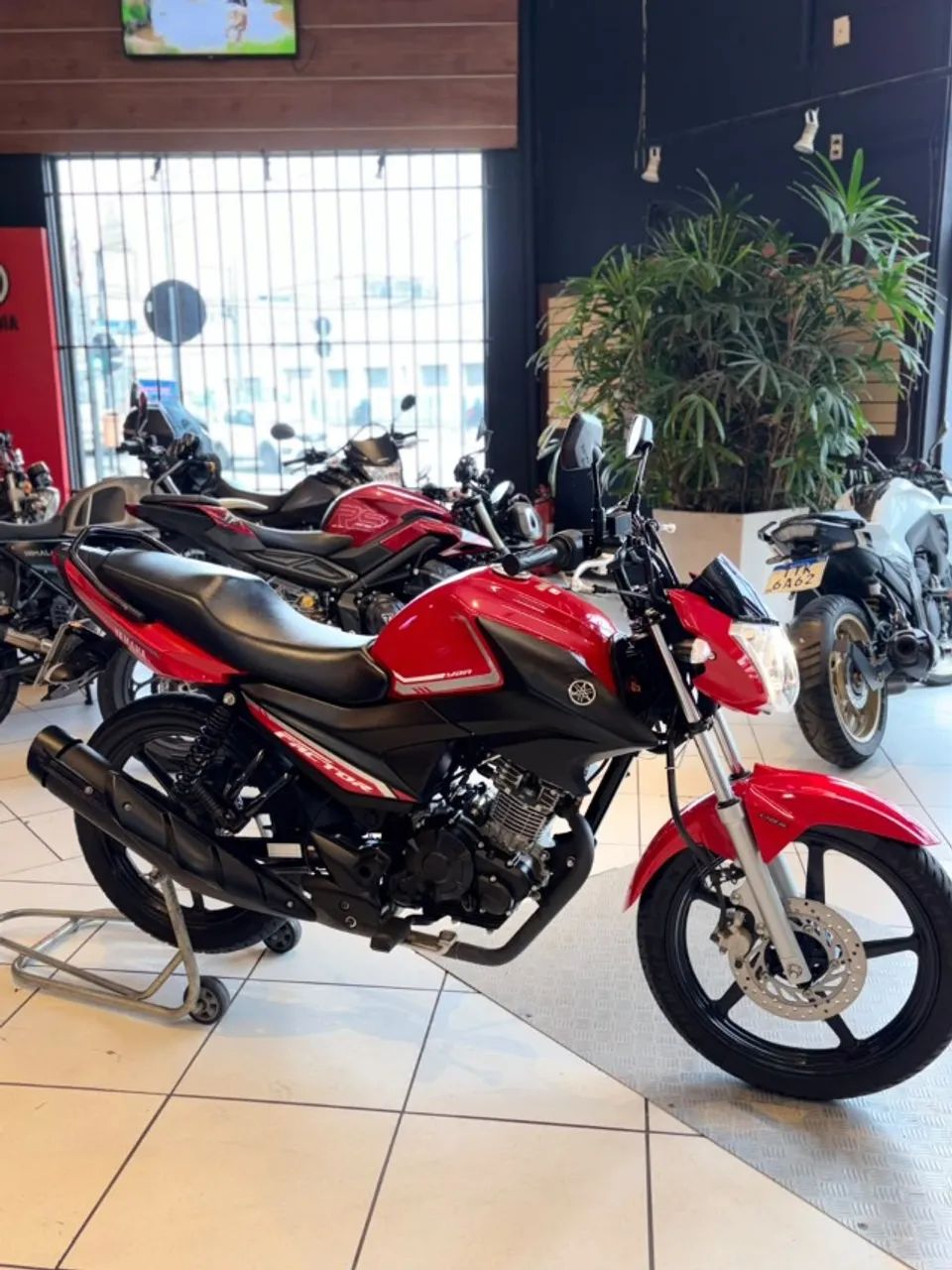 YAMAHA YBR FACTOR  - Foto 2