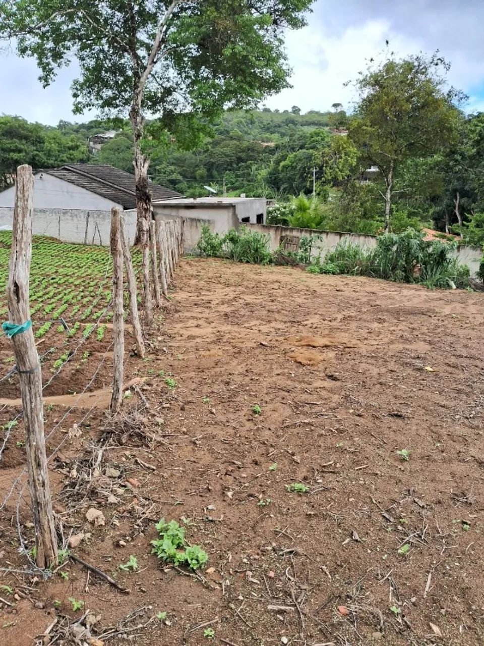 Terreno com Licença Ambiental aprovada - Mulungu/CE - 685,5 m² - Foto 4