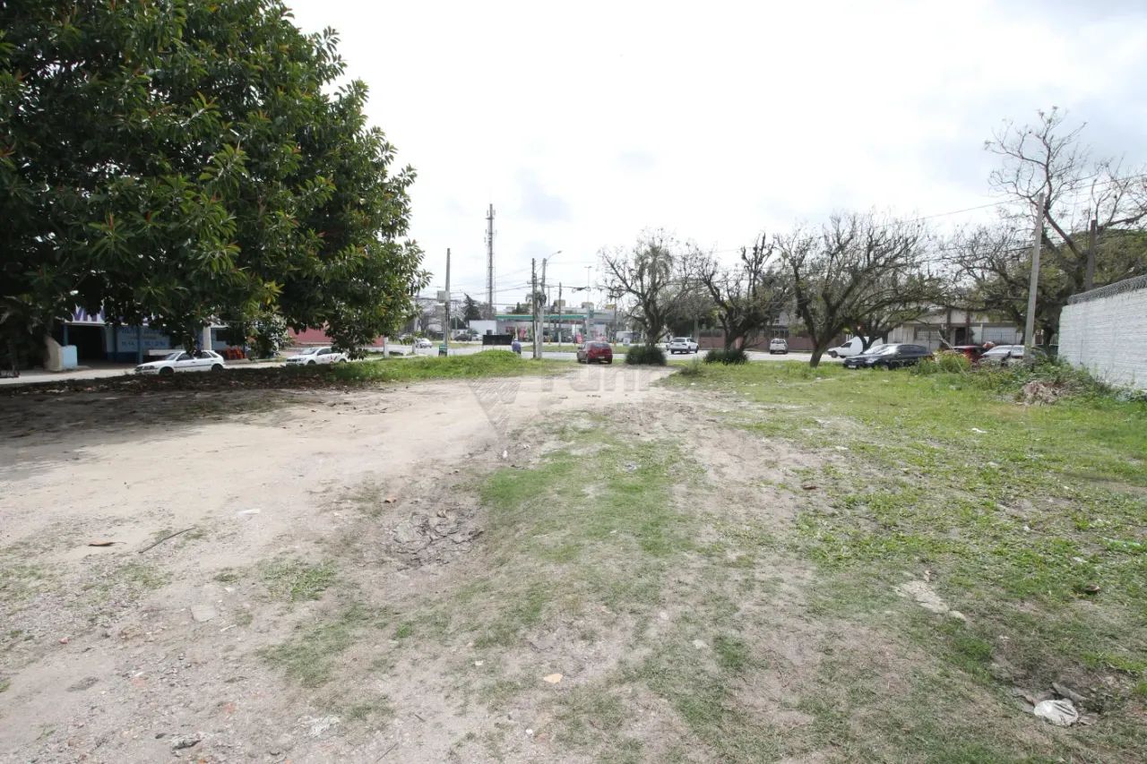 Terreno Padrão em Pelotas - Foto 4
