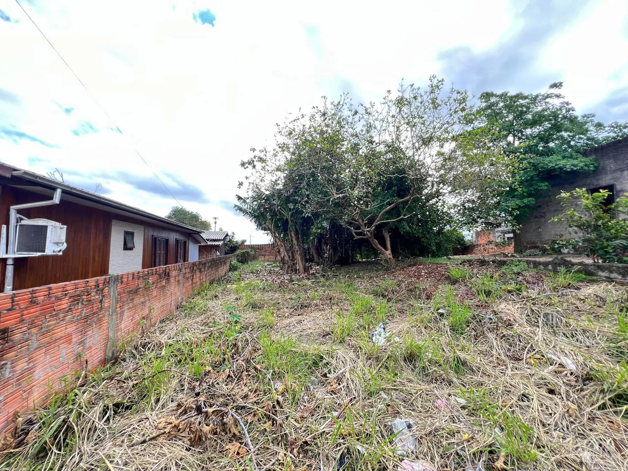 Terreno à venda no Jardim Montevidéu - Foto 4