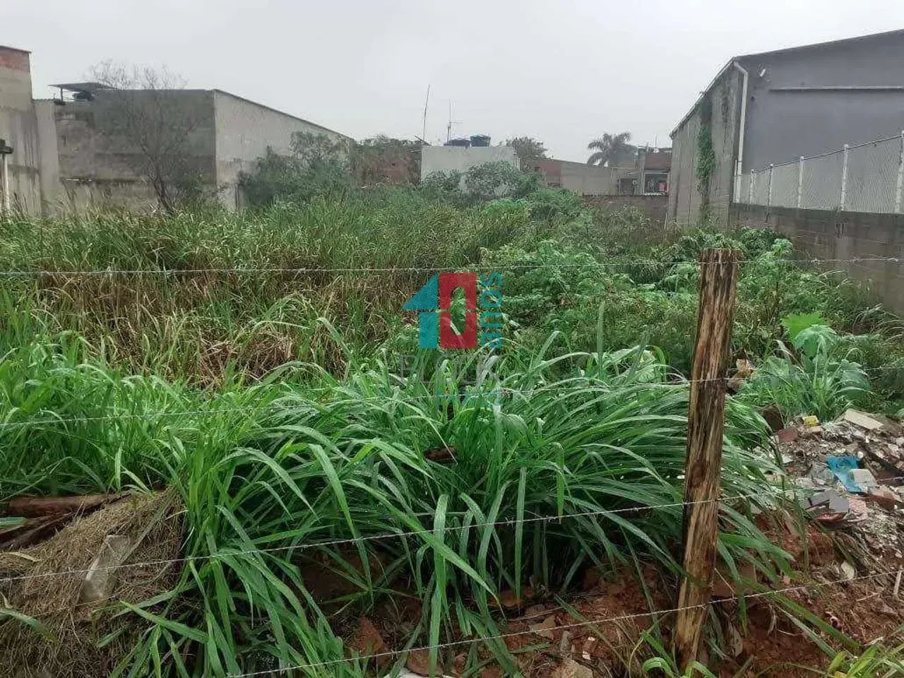 Campo Grande | Terreno - Foto 4