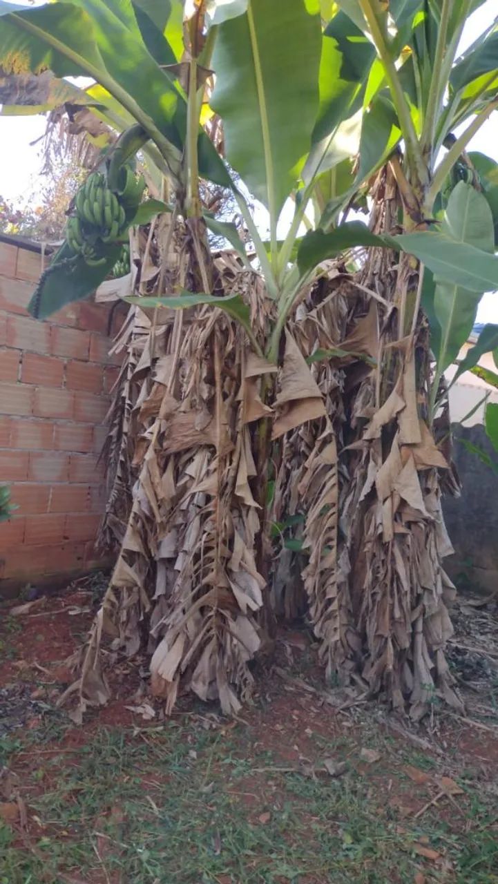 Lote barato em Juatuba  - Foto 6