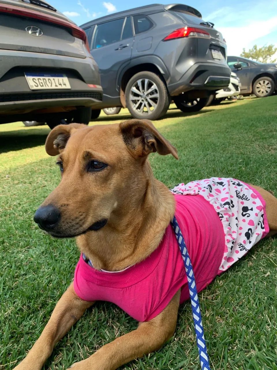 Cachorra - Foto 2