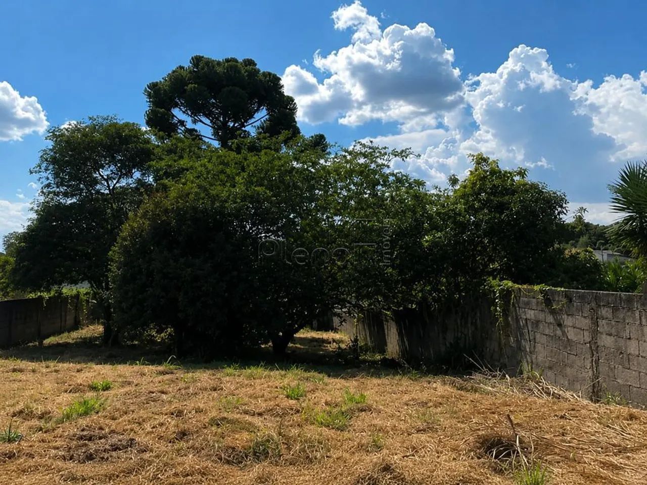Terreno à venda e para alugar em Vinhedo, Capela, com 986 m² - Foto 2