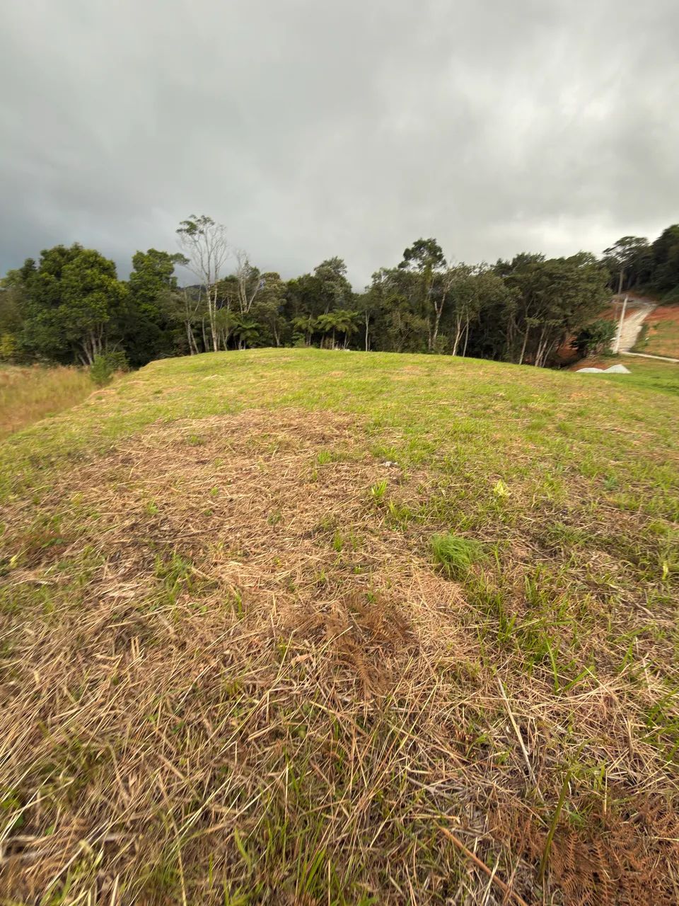 Vendo barato!terreno em águas mornas para sítio  - Foto 5