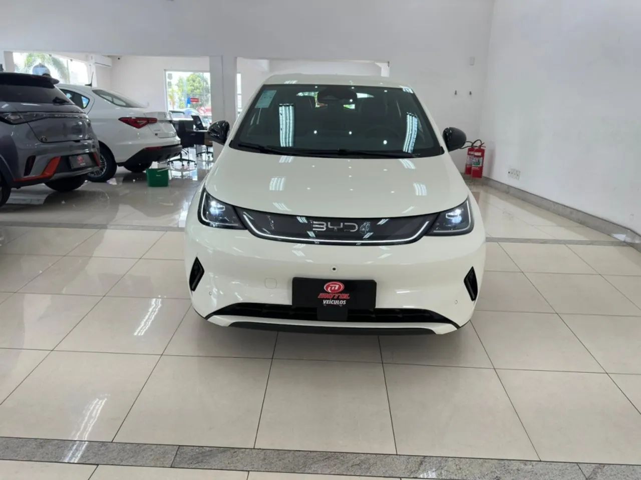 BYD Dolphin GS (Elétrico) 2027 - Foto 2