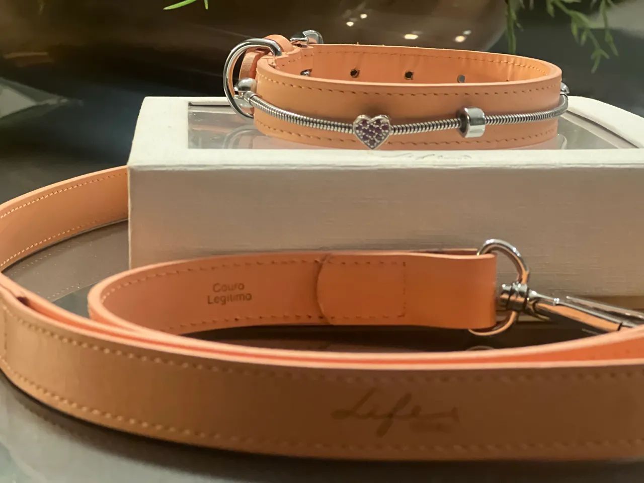 Coleira/Guia Vivara Life 