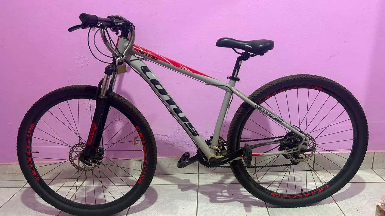 Bicicleta lótus 