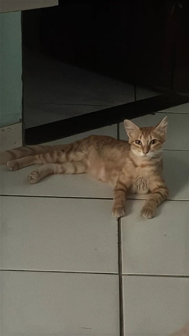 Mel - Foto 2