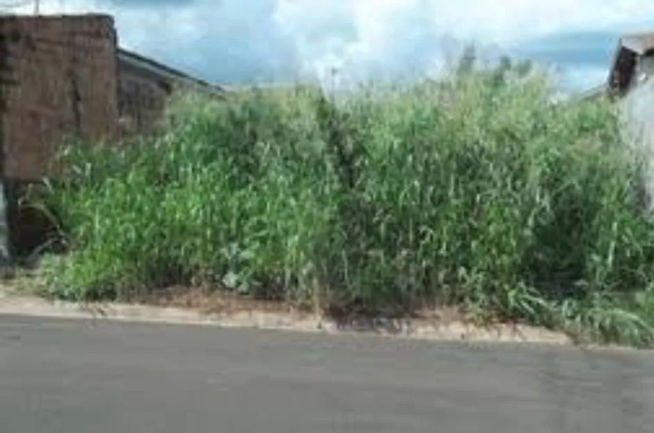 Terreno na Estrada das Canoas - Foto 2