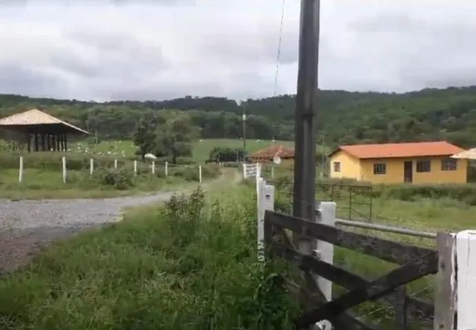 Pitangui/MG - Fazenda 67ha - Foto 3